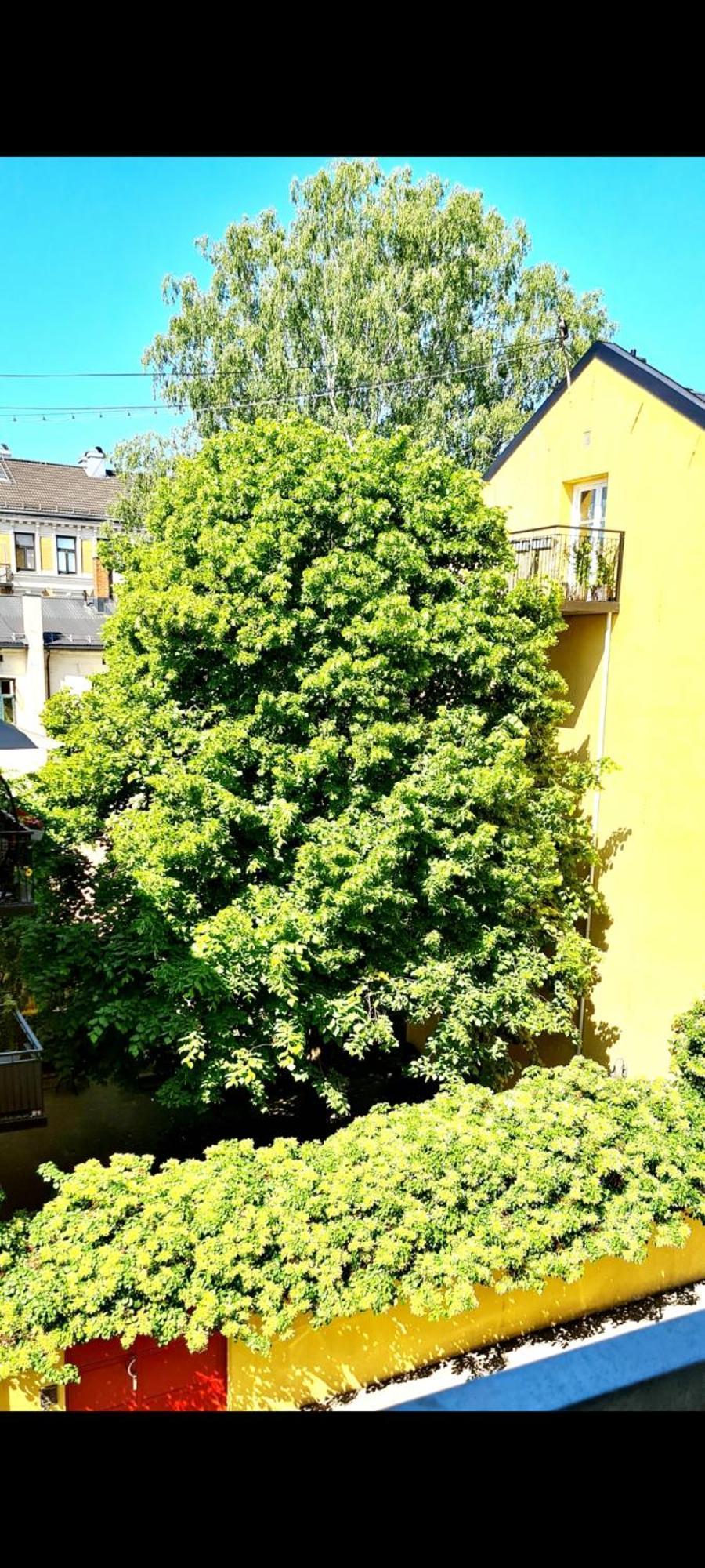 Modern Central Apartment Next To Beautiful Nature2424 Осло Экстерьер фото